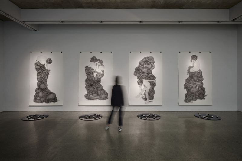 Alice Maher: The Sibyls