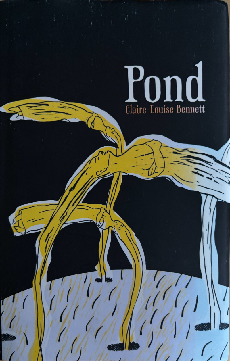 Pond